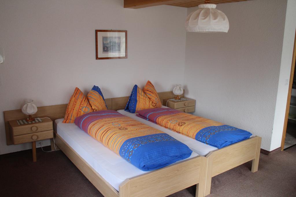 Hotel Bluemlisalp Γκρίντελβαλντ Δωμάτιο φωτογραφία